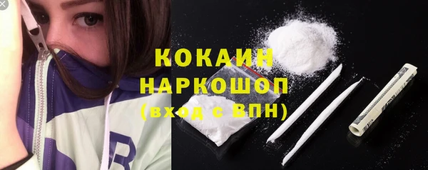 spice Краснослободск