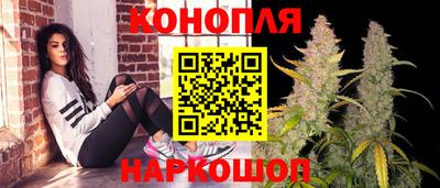 шишки Балашиха