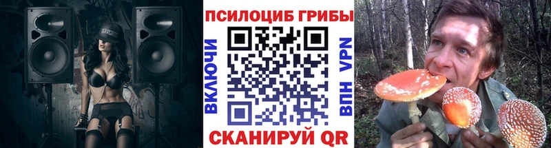 дарнет шоп  Томск  ОМГ ОМГ онион  Псилоцибиновые грибы мухоморы 