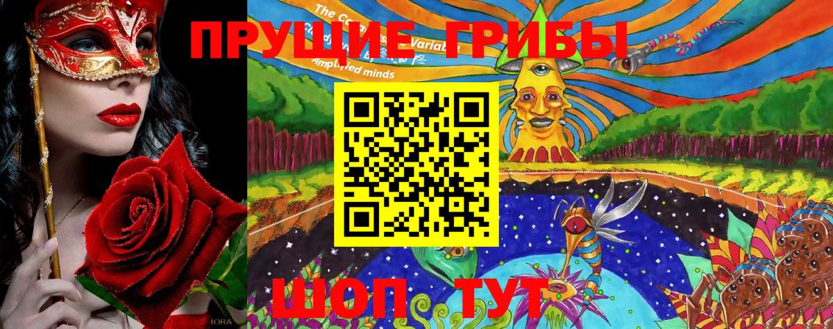 Псилоцибиновые грибы мицелий Томск
